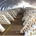 Hot sale low cost high quality mushroom greenhouse